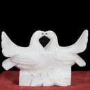 Pigeon  18"