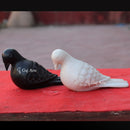 Pigeon  9"