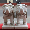 White Elephant 18”