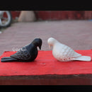 Pigeon  9"