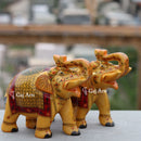 Elephant  7"