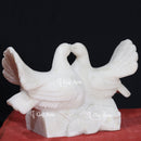 Pigeon  18"