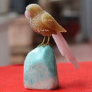 Parrot 8"