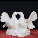 Pigeon  18"