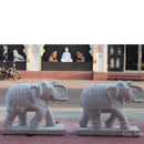 White Elephant 31”
