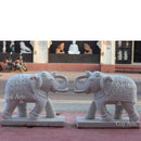 White Elephant 31”