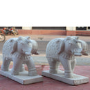 White Elephant 31”