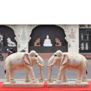 White Elephant 15”