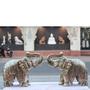 Silver Elephant 21”