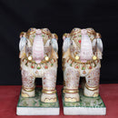 White Elephant 24”
