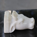 Waterfall Gaumukh Cow 7"