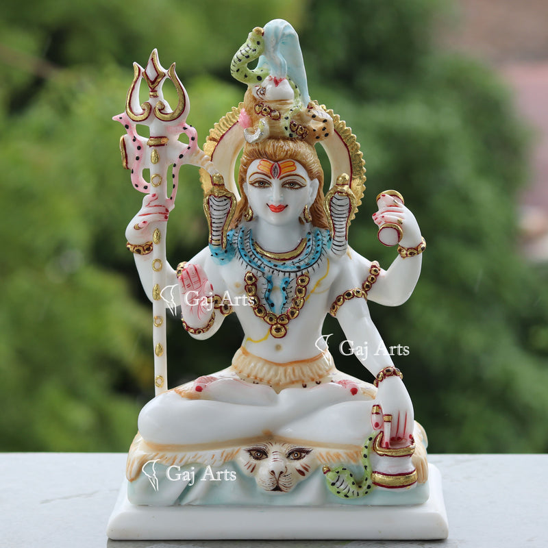 Shiva 10"
