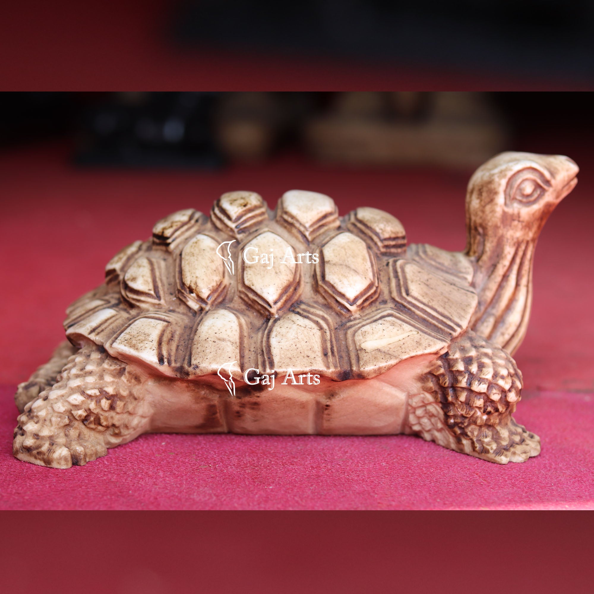 White Marble Kachua Tortoise Statue | 15 Inch