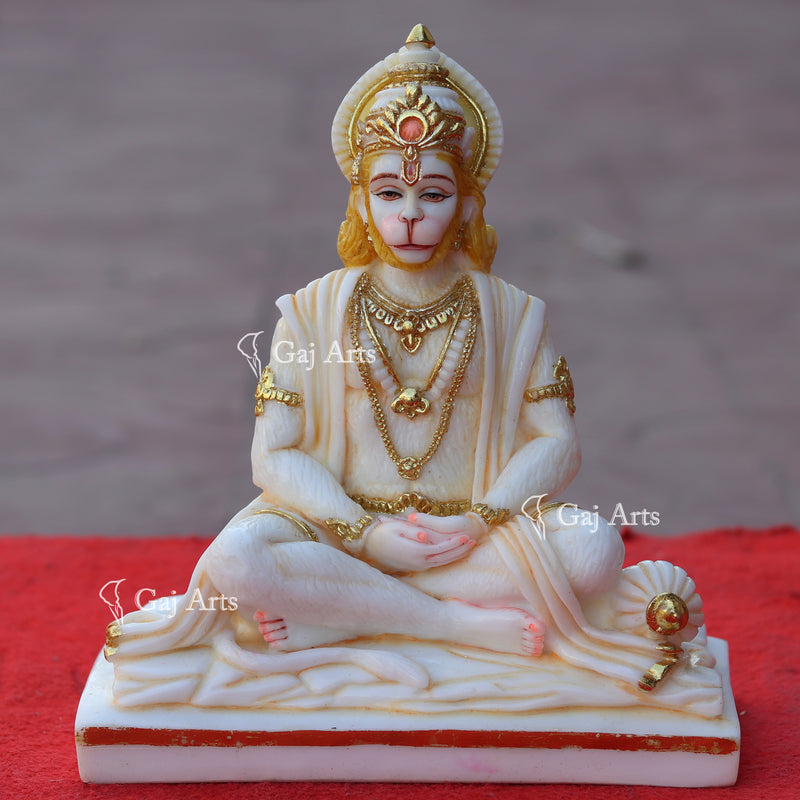 Hanuman Ji 9"