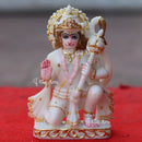 Hanuman ji  6"