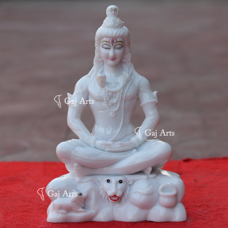 Shiva 10"