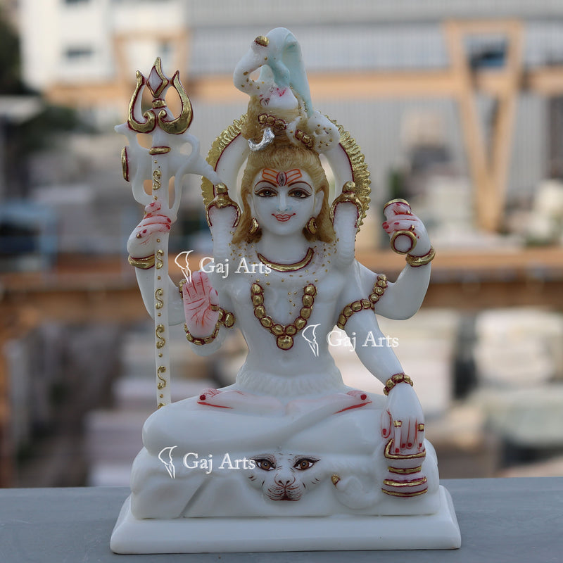 Shiva 10"