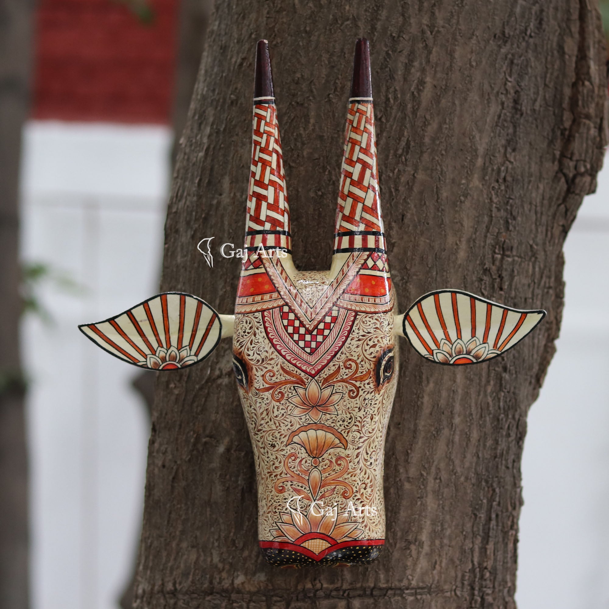 Nandi Face 16"