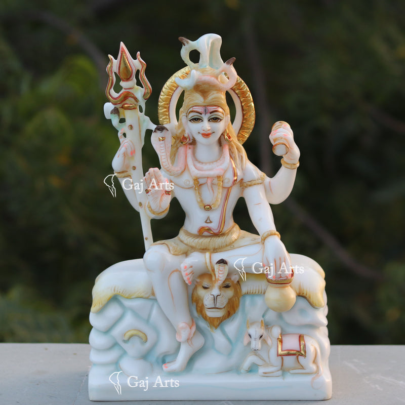 Shiva 12"