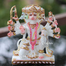 Panchmukhi Hanuman ji 5"