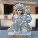 Hanuman ji 9"