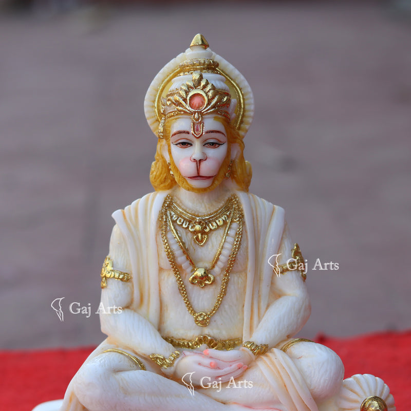 Hanuman Ji 9"