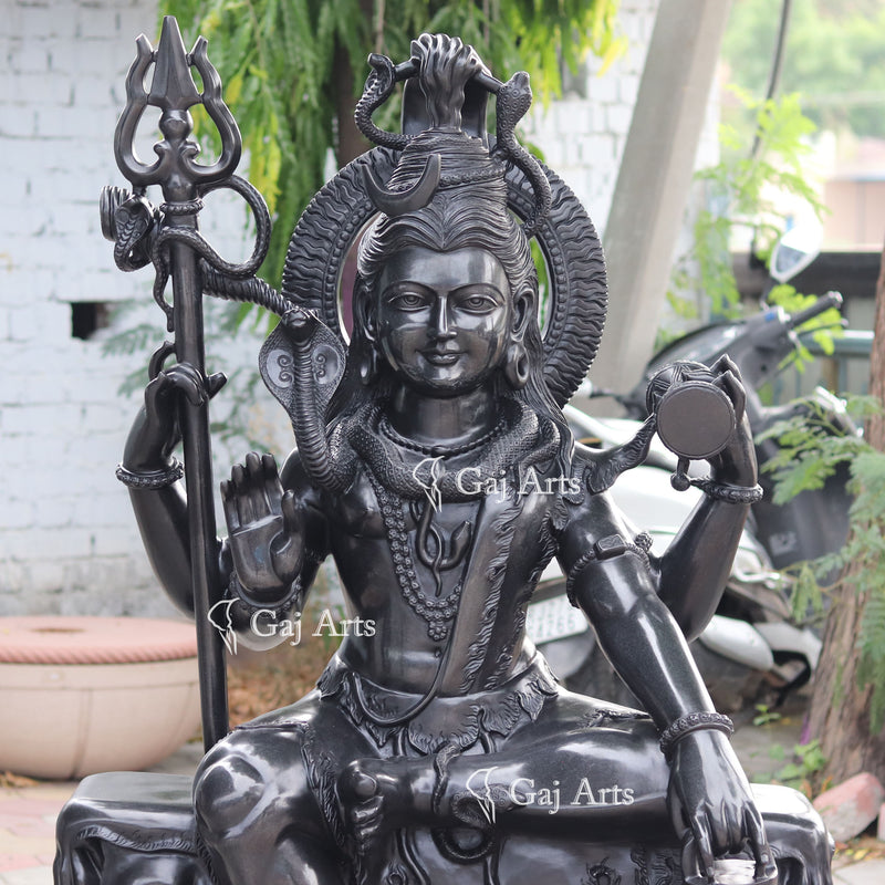 Shiva 60"