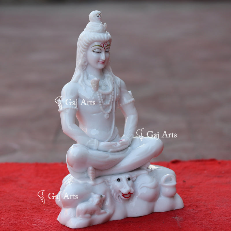 Shiva 10"