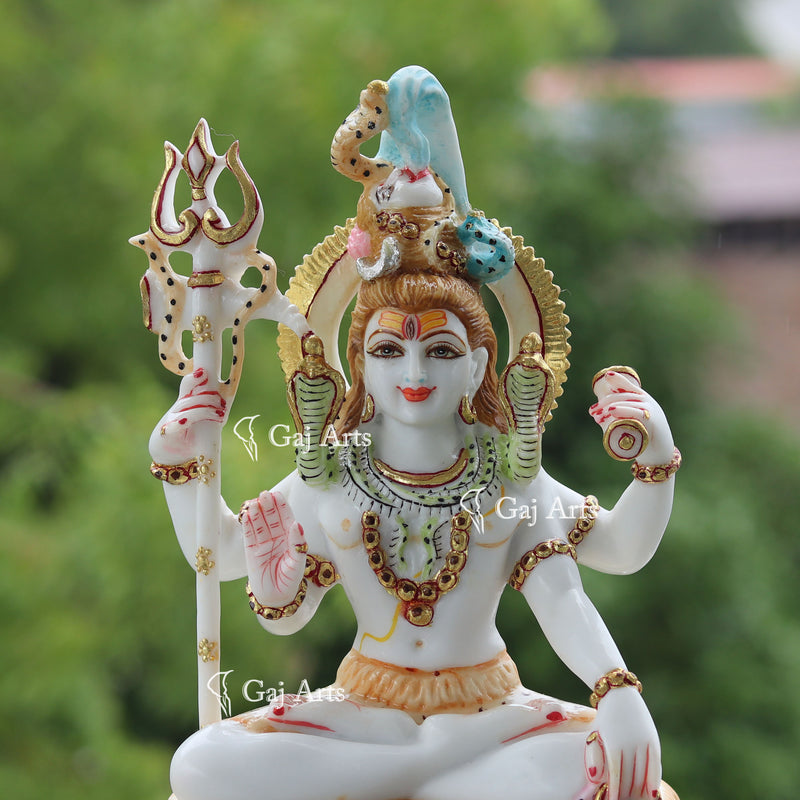 Shiva 10"