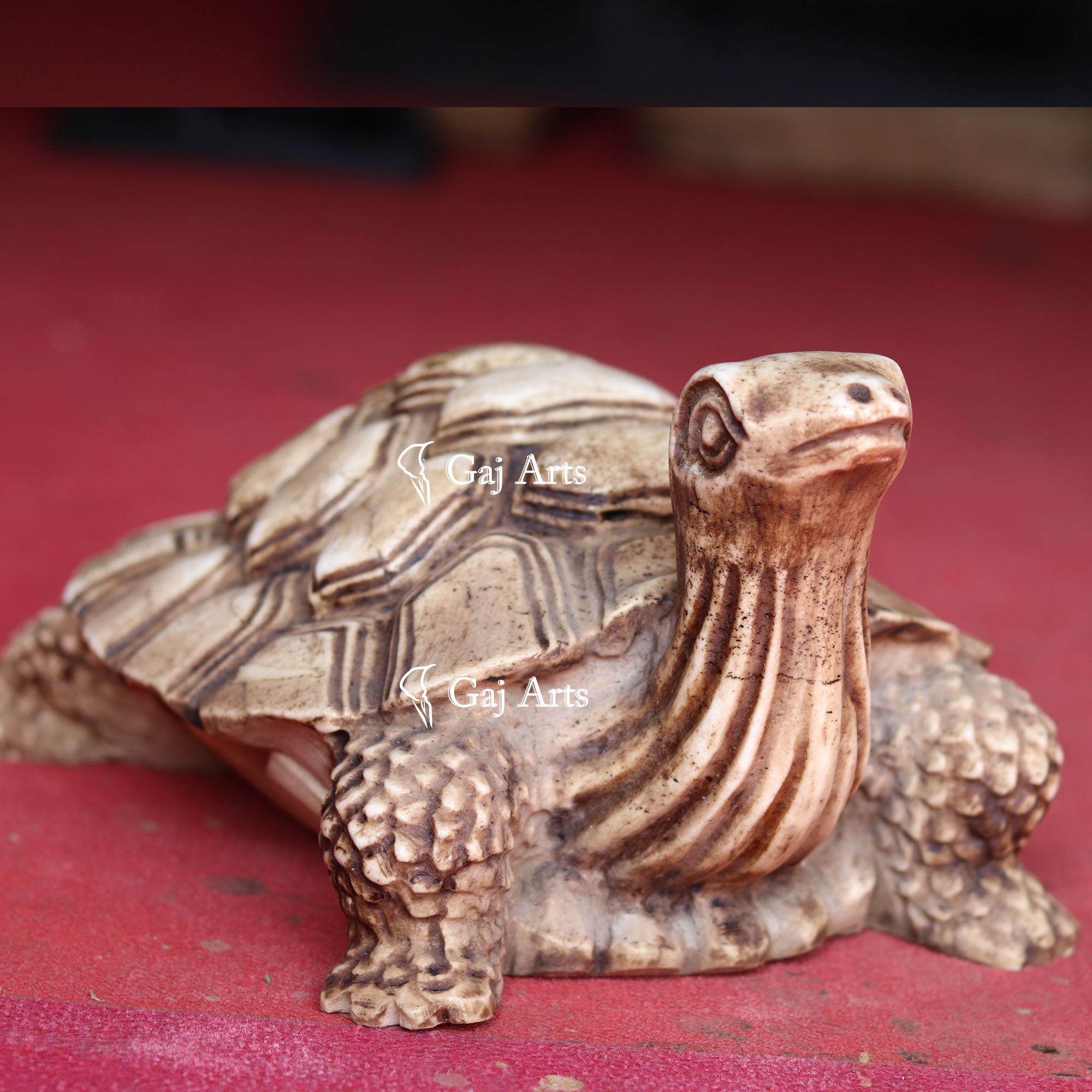 White Marble Kachua Tortoise Statue | 15 Inch