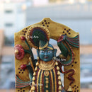 Shreenath Ji 18 Inch