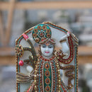 Shreenath Ji  12 Inch