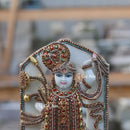 Shreenath Ji  12 Inch