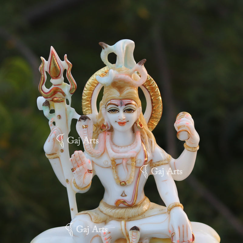 Shiva 12"