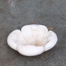 Marble Flower Bowl 6”