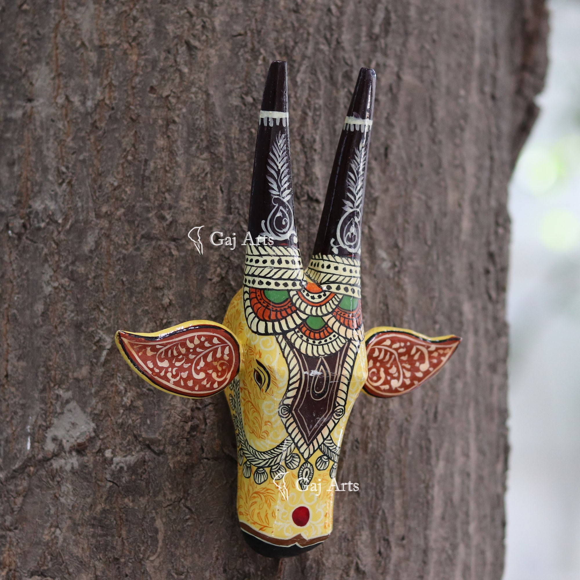 Nandi Face 8"