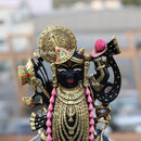 Shreenath Ji 15 Inch