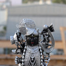 Shreenath Ji 15 Inch