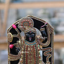 Shreenath Ji 12 Inch