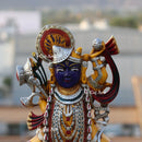 Shreenath Ji 15Inch