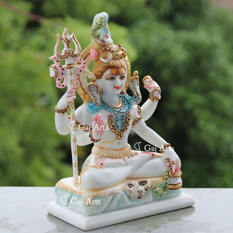 Shiva 10"