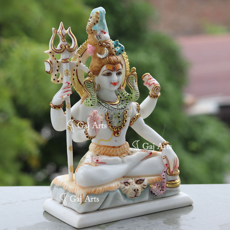 Shiva 10"