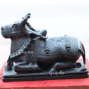 Nandi 12"