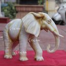 Elephant 18"