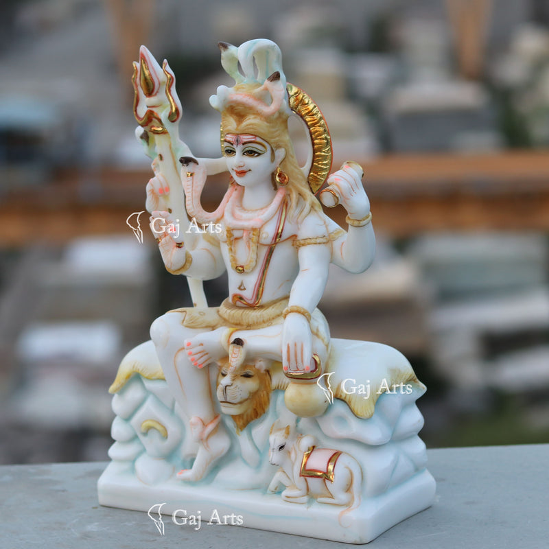 Shiva 12"