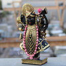 Shreenath Ji 15 Inch