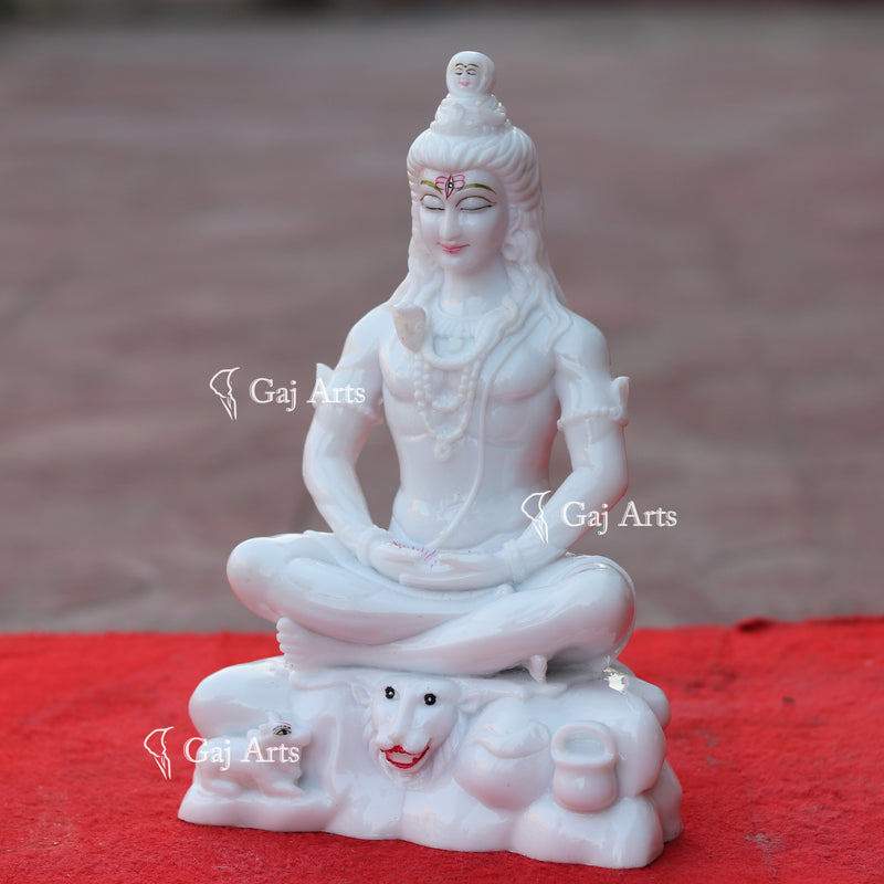 Shiva 10"