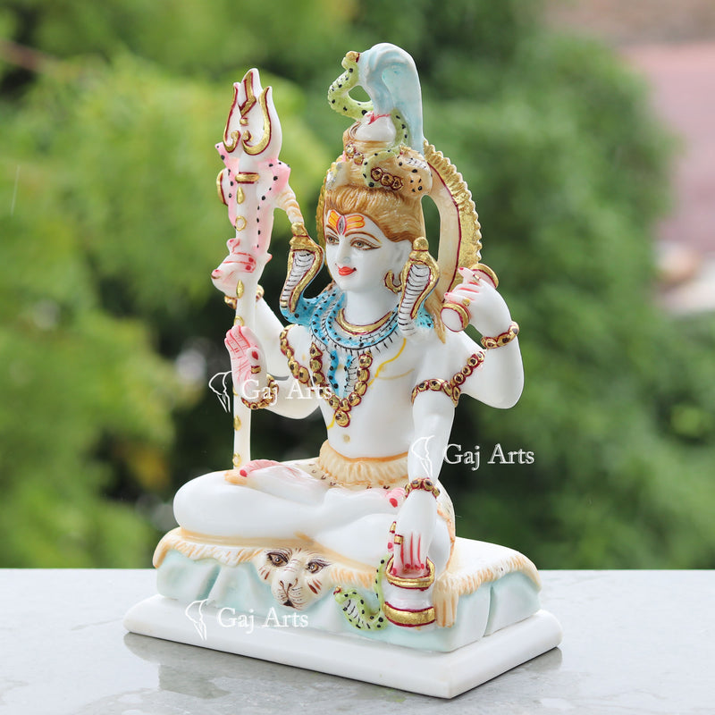 Shiva 10"