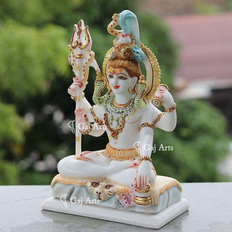 Shiva 10"
