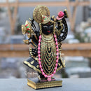 Shreenath Ji 15 Inch